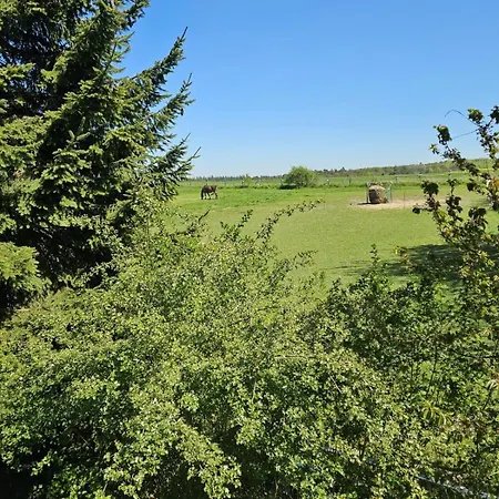 Finnhuette Onkel Lutz בית נופש *