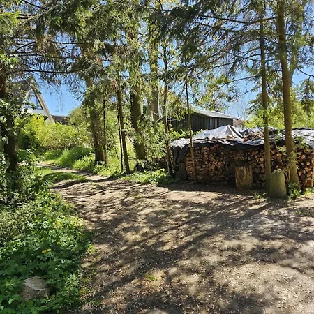 Finnhuette Onkel Lutz